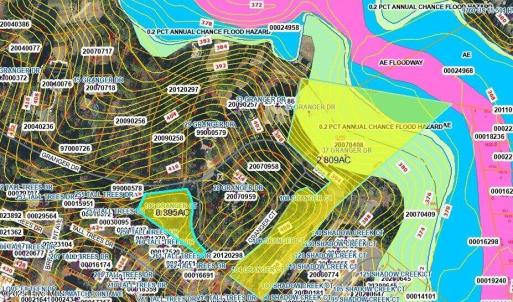 GIS Map Contour Floodzone and Wetlands