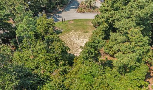 Wooded with Partial clearing