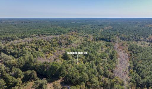 6621CanetuckDrone-11