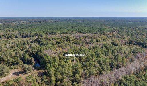 6621CanetuckDrone-12