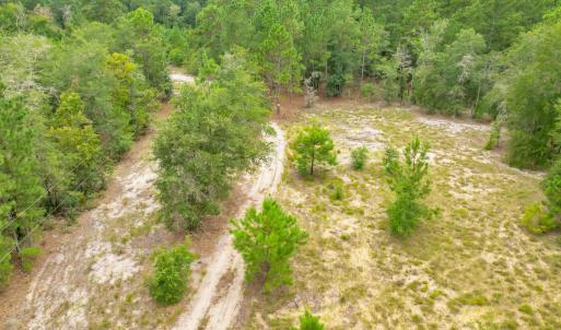 6715canetuckrd_00021