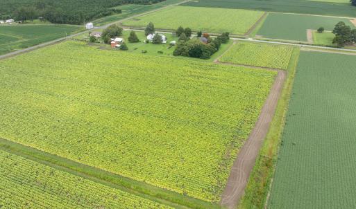 7-web-or-mls-DJI_0608