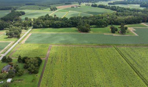 11-web-or-mls-DJI_0612