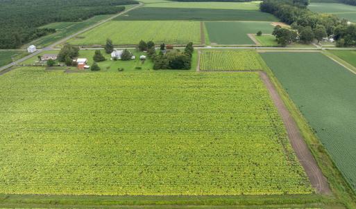 8-web-or-mls-DJI_0609