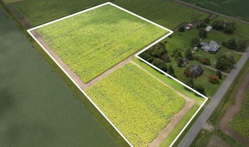 13-web-or-mls-DJI_0614_1