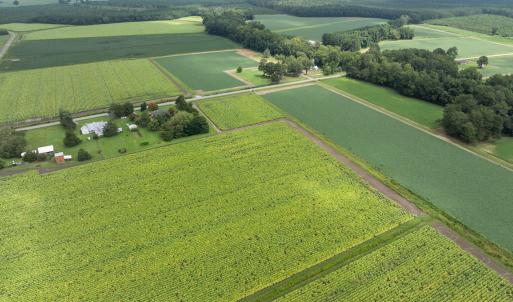 10-web-or-mls-DJI_0611