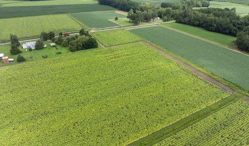 9-web-or-mls-DJI_0610