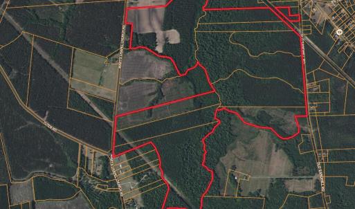 Screenshot 2025-08-06 at 10.22.17AM