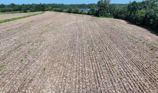 DJI_20250809023129_0597_D