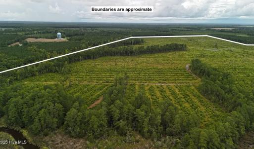 DJI_20250812134213_0445_D Large