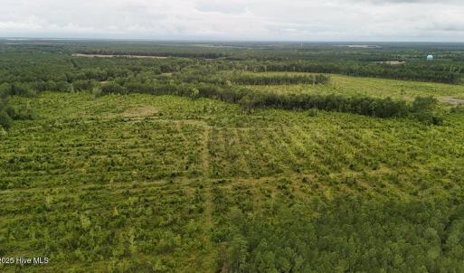 DJI_20250812134429_0448_D Large