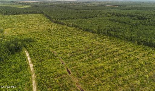 DJI_20250812133856_0431_D Large