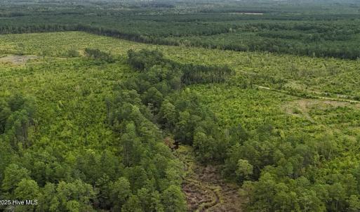 DJI_20250812134134_0442_D Large