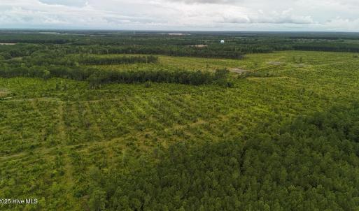 DJI_20250812134441_0450_D Large