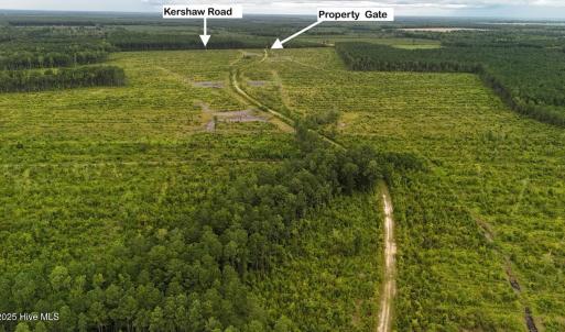 DJI_20250812133852_0430_D Large