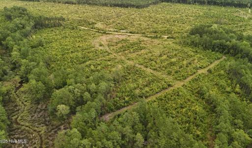 DJI_20250812134048_0438_D Large