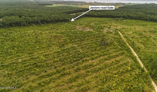 DJI_20250812133905_0433_D Large