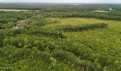 DJI_20250812133841_0428_D Large