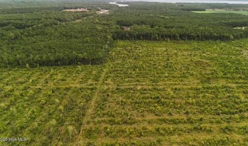 DJI_20250812133900_0432_D Large