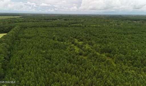 DJI_20250812142848_0456_D Large