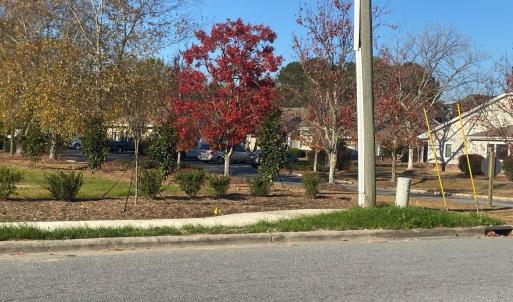 20231130172537076569000000-o