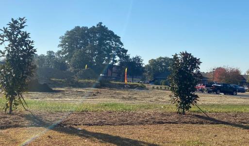 20231130172545450894000000-o