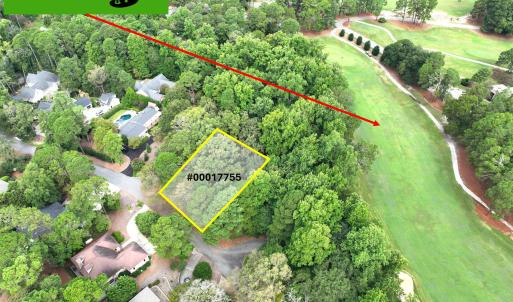 TBD Turtle Pt Drone-6