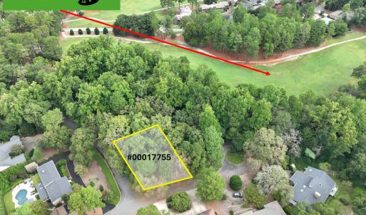 TBD Turtle Pt Drone-5