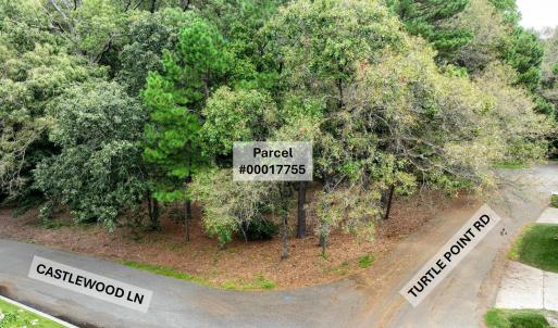 TBD Turtle Pt Drone-1