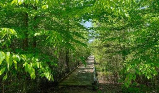 Riversound Walk