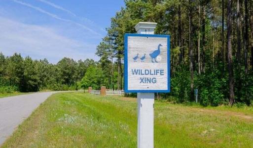 Riversound Wildlife Refuge
