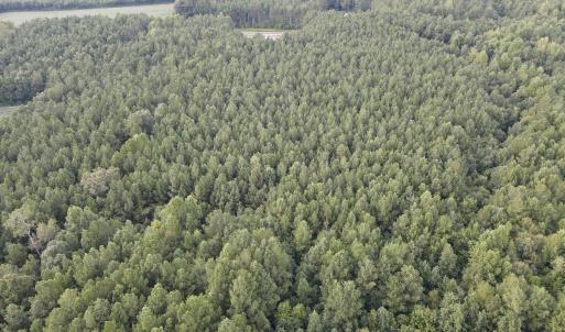 Back View looking towards road