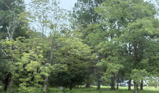 917 Bricklanding Rd. SW