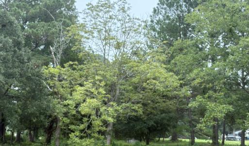 917 Bricklanding Rd. SW