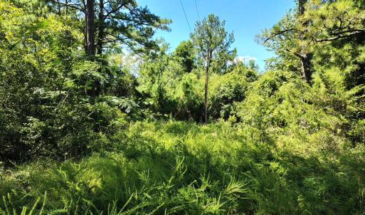 498 Poyners Rd.
