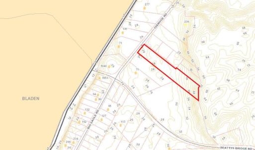 GIS Aerial of Contours & Topography