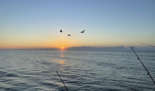 Fishing as the sun rises