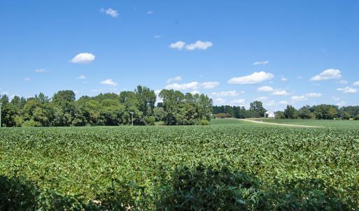 DSC_0789