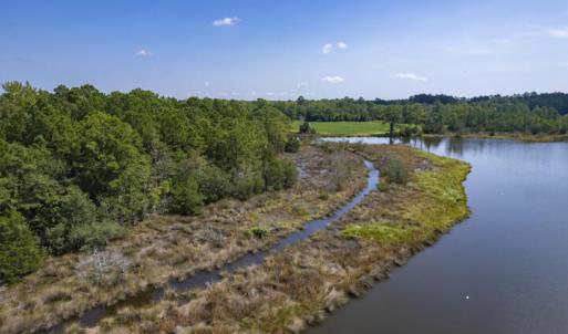 11.4 Acres on Smith Creek, Vandemere