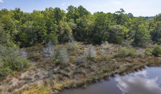 11.4 Acres on Smith Creek, Vandemere