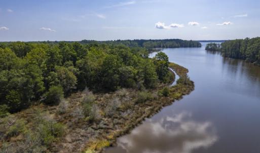 11.4 Acres on Smith Creek, Vandemere