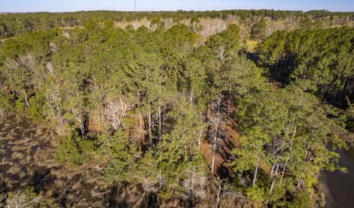 No Neighbors In Sight