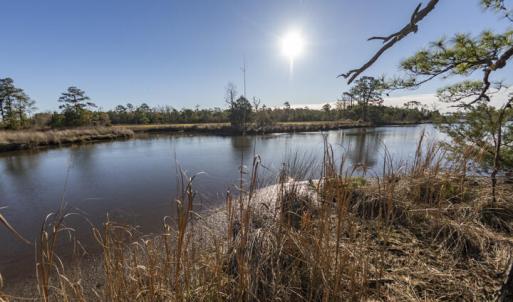 View of Smith Creek