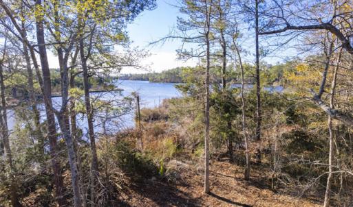View of Smith Creek
