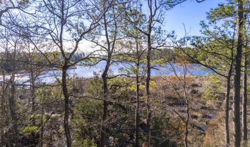 View of Smith Creek