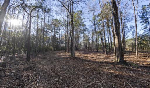Over 11 Acres