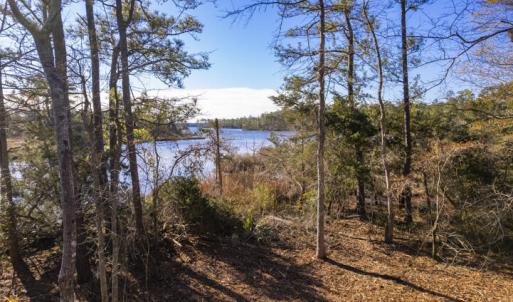 View of Smith Creek