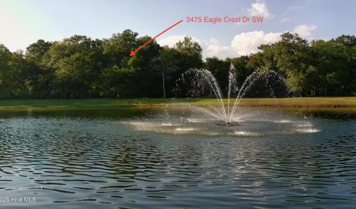 pond view ss