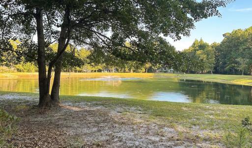 pond view 2 ss