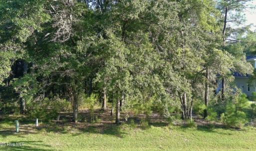 tree view ss